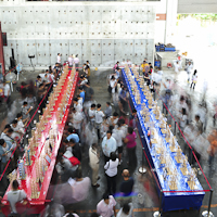 IDEERS2011-244.jpg